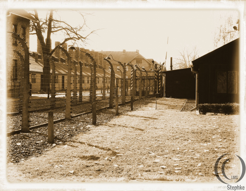 Auschwitz_Stammlager_P10309162-Steph