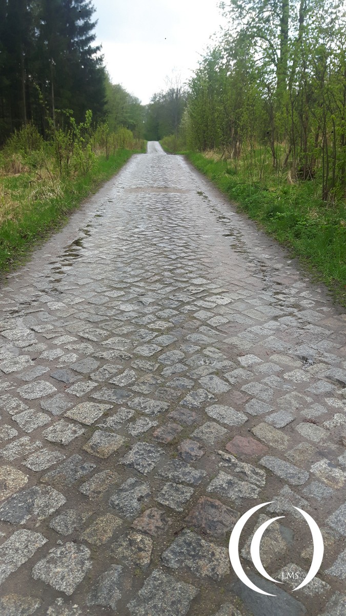 OKH Mauerwald - one of the originals cobblestone paths