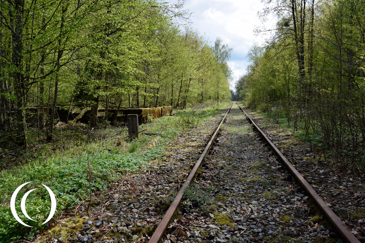 Railroad leading to the Wolfsschanze - ruins of the train station is on the left